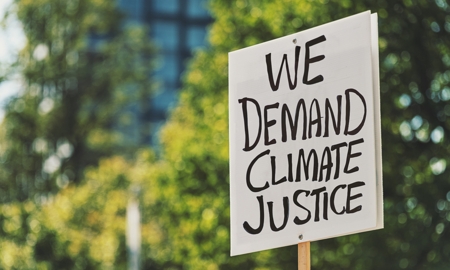 Climate Change protest - Canva - 290524