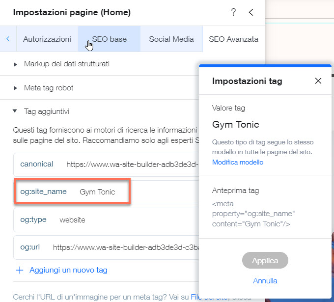 La scheda SEO avanzata che mostra il menu Impostazioni tag