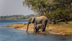 Viktoriiny vodopády: Africká rajská zahrada