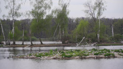 Pohoda venkova