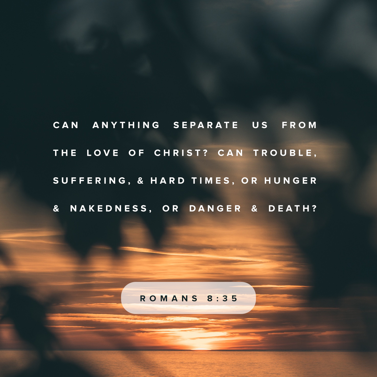 Romans 8:35