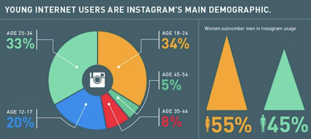 instagram target audience