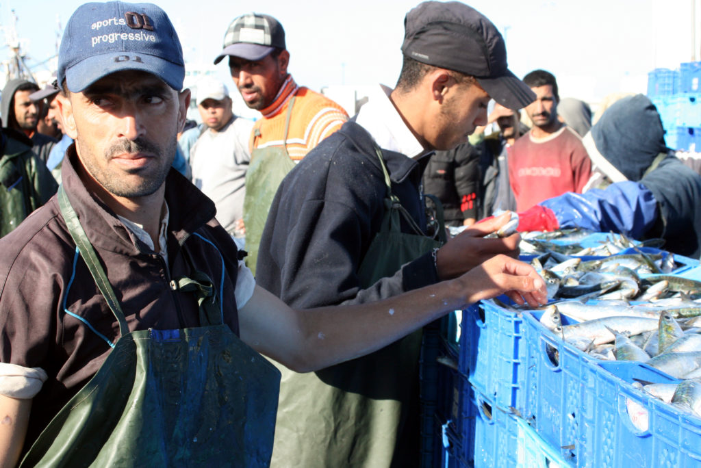 Fishermen in Western Sahara. Photo by Larisa Epatko