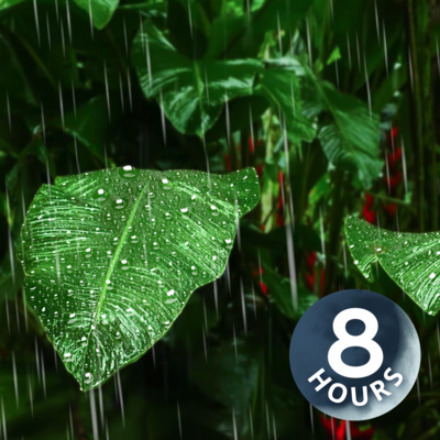 Rain on Giant Tropical Leaves | Raining Sound to Sleep 8 Hours