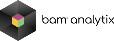 BAM Analytix