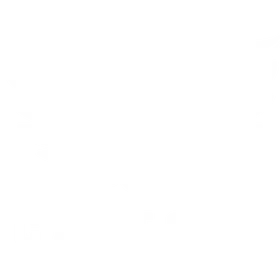 Castore