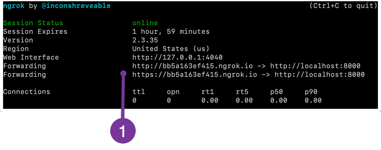 Ngrok example with HTTPS