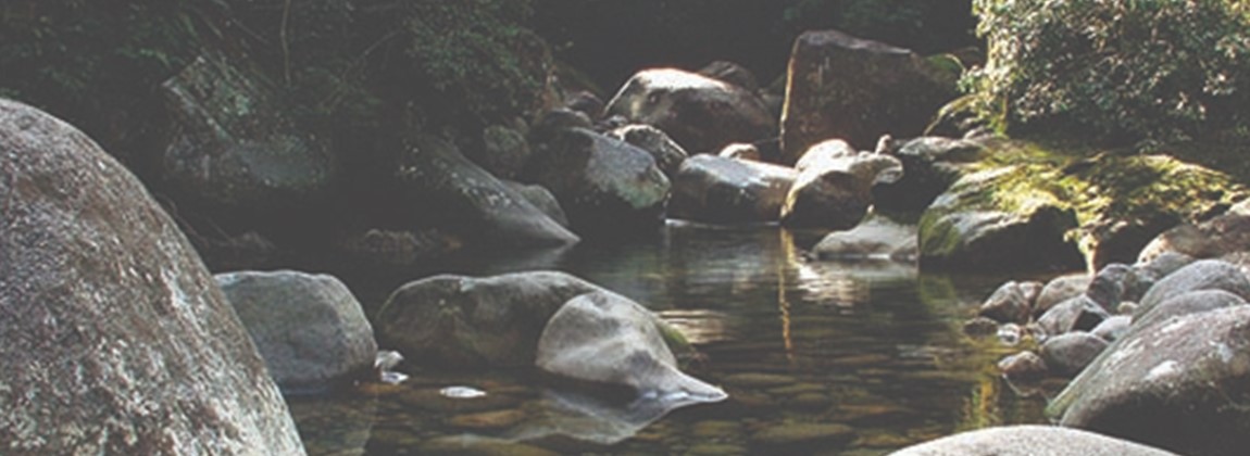 Região de extração da pedra madeira.