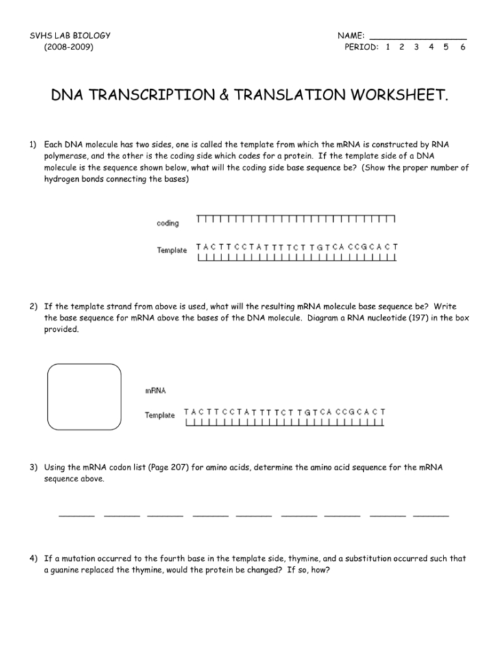 Dna Replication Vs Transcription Worksheet