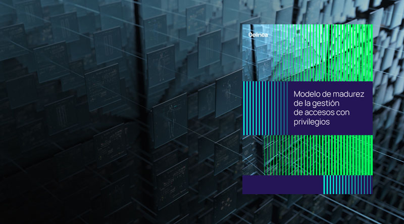 delinea-image-maturity-whitepaper-es