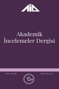 Akademik İncelemeler Dergisi