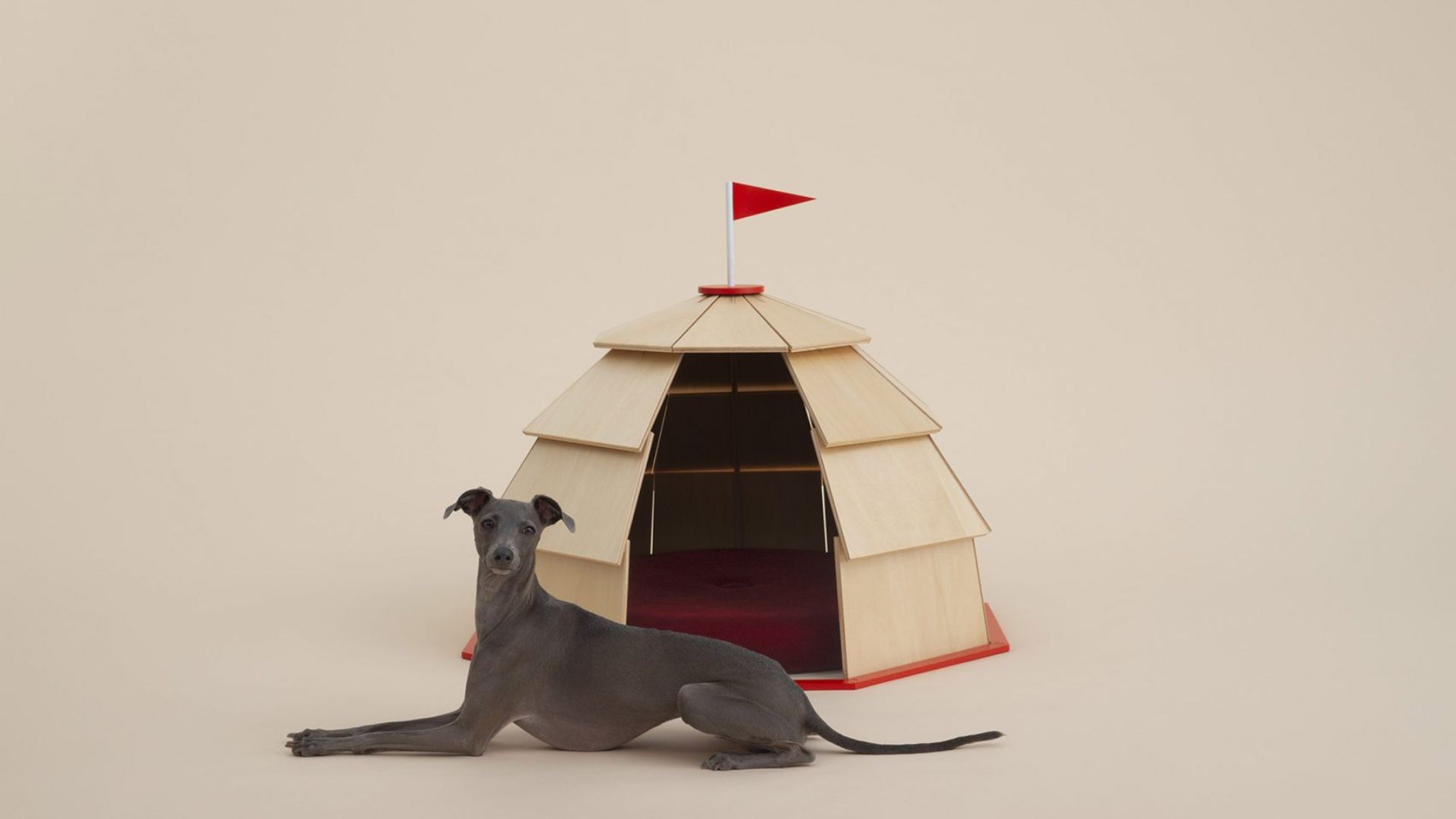 For its Italian debut in the ADI Design Museum, the Architecture for Dogs exhibit features a capsule collection by Giorgio Armani and design pieces by Piero Lissoni and Giulio Iacchetti.