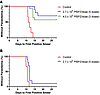 Results of CHMI done 24 weeks after the last dose of PfSPZ Vaccine.