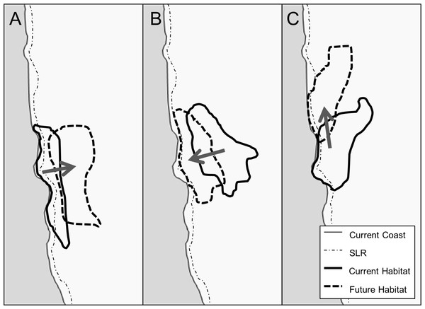 Conceptual model of suitable habitat shifts as a result of climate change and the resulting impact of SLR on that habitat.