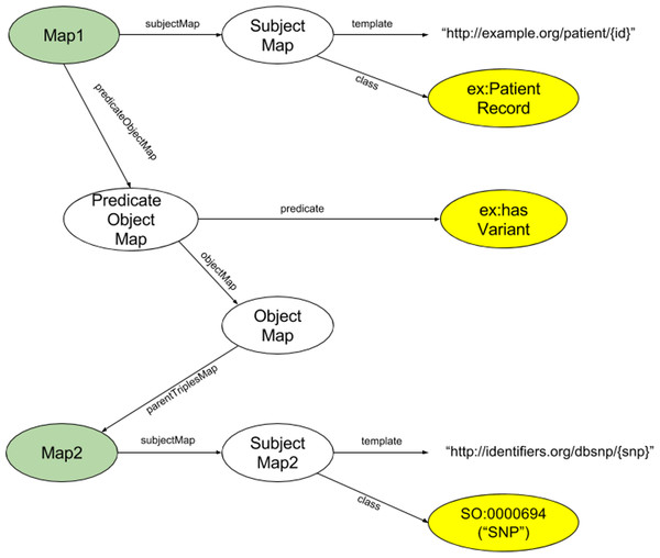 Diagram of the structure of an exemplar Triple Descriptor representing a hypothetical record of a SNP in a patient’s genome.