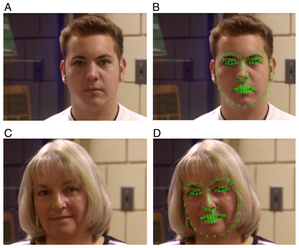 Facial landmarks (68 key points) of Face Recognition Grand Challenge Version 2(FRGC v2.0).