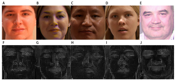 The HOG features of various 3D face images.