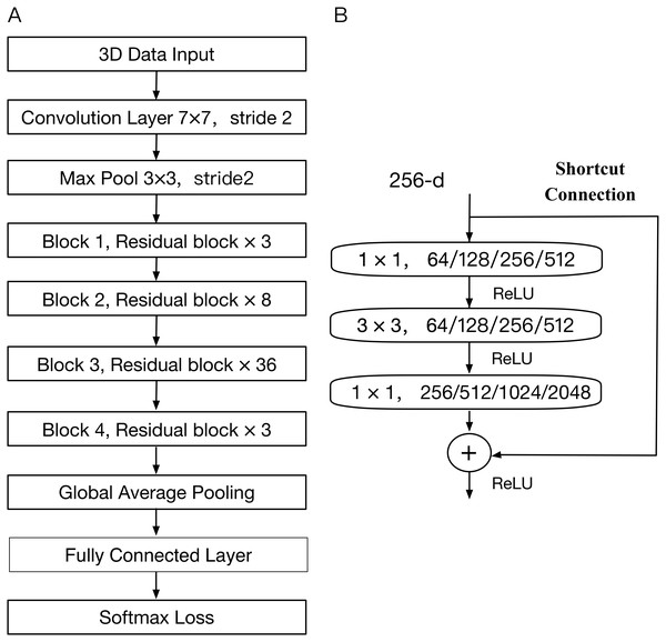 The architecture of ResNet model.