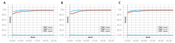 The accuracy rate of different layer numbers in the fine-tuning ResNet architecture.