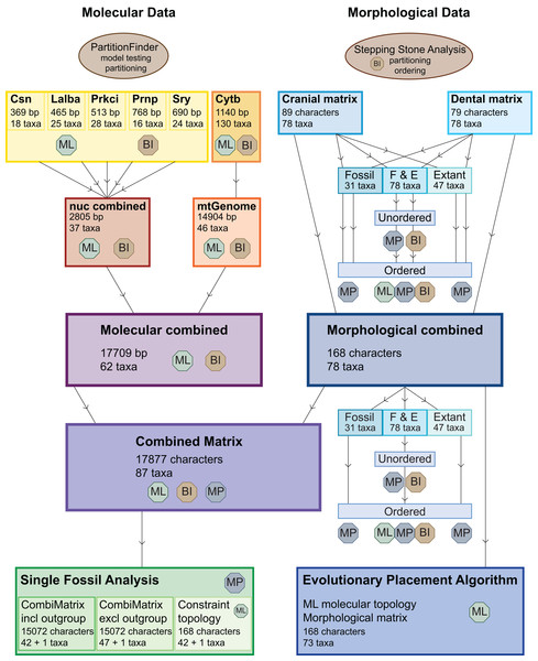 Overview of all analyses.