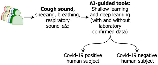 AI-guided tools for COVID-19 screening using cough sound.