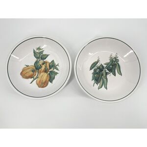 Williams Sonoma Harvest Vegetables Pasta Bowls Peas Peppers Set Of 2