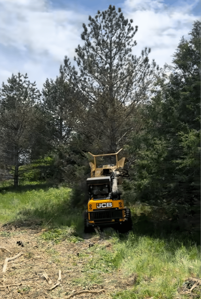 skid steer with disc mulcher