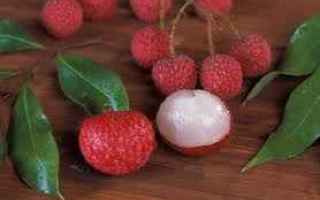 Alimentazione: litchi bambini alimentazione  news