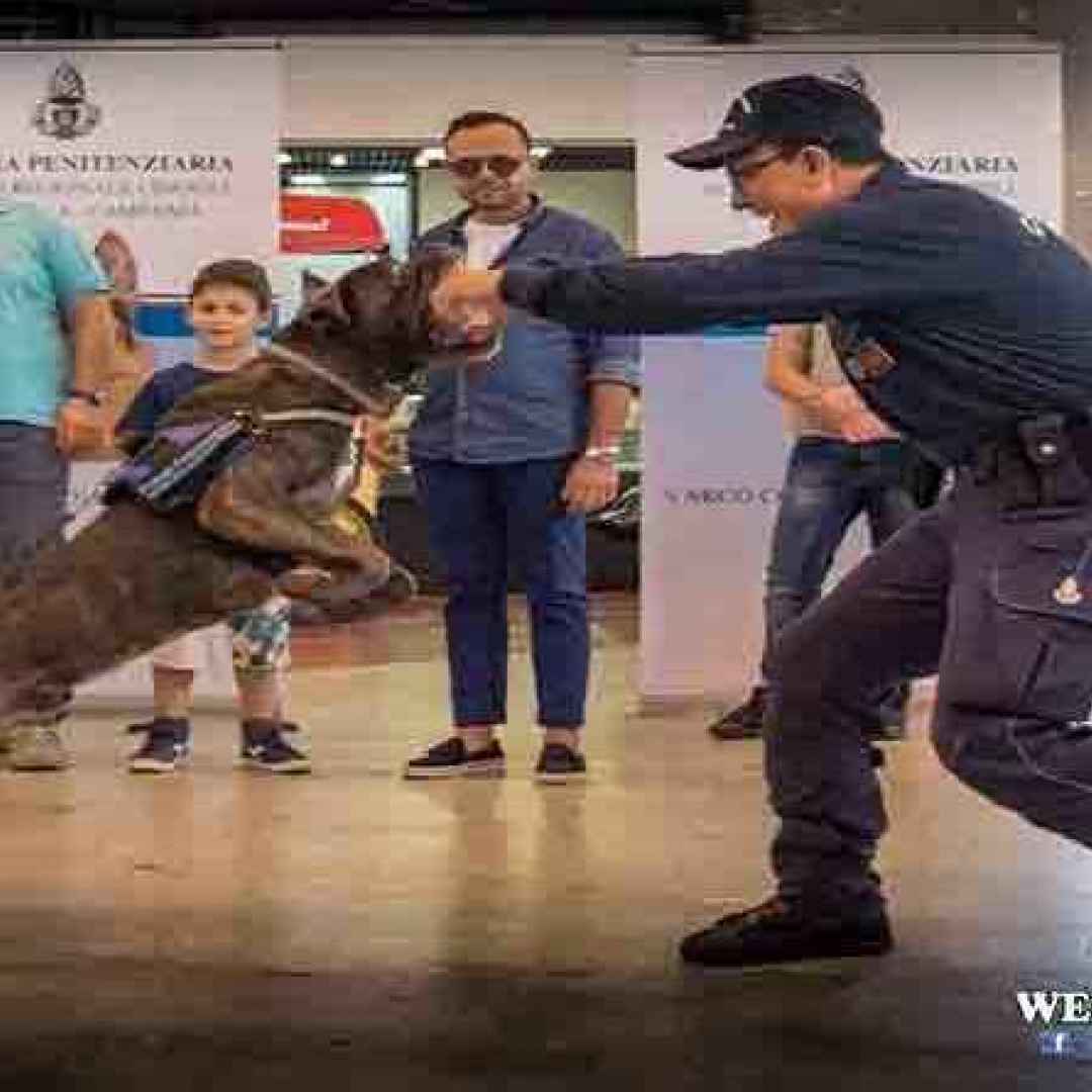 Motorexperience con il Reparto Cinofili della Polizia Penitenziaria a Napoli