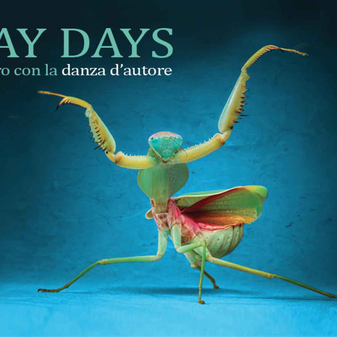 MAY DAYS incontro con la danza d