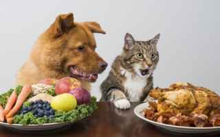 Nuove frontiere sull'alimentazione del cane e del gatto, la Nutrigenomica