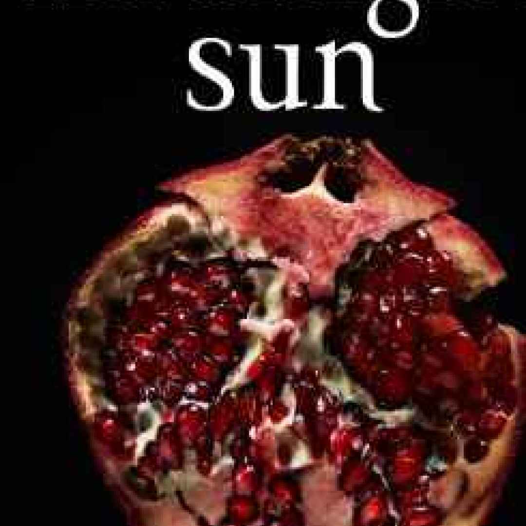 Nuovo libro "Midnight Sun" per fan Twilight