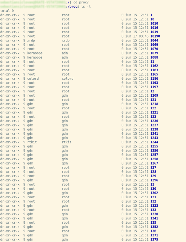 Proc file system in Linux - DigitalGate Amg