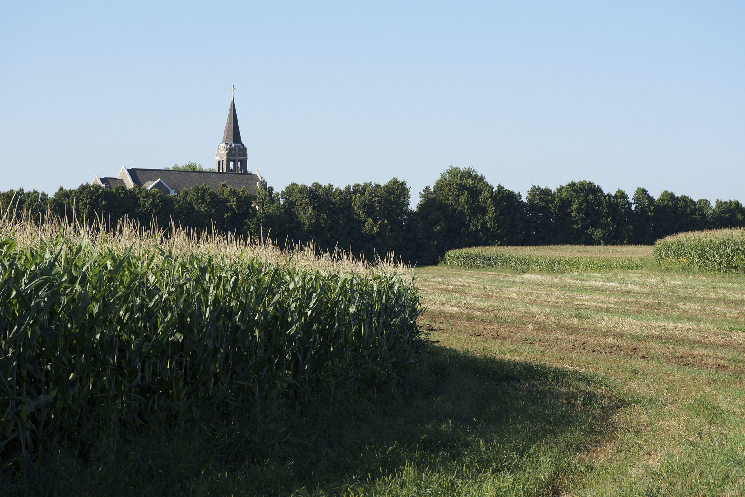 Holden Lutheran Church stands among cornfields in the farmland outside Kenyon, Minn, on Sept. 1, 2024. (AP Photo/Giovanna Dell'Orto)