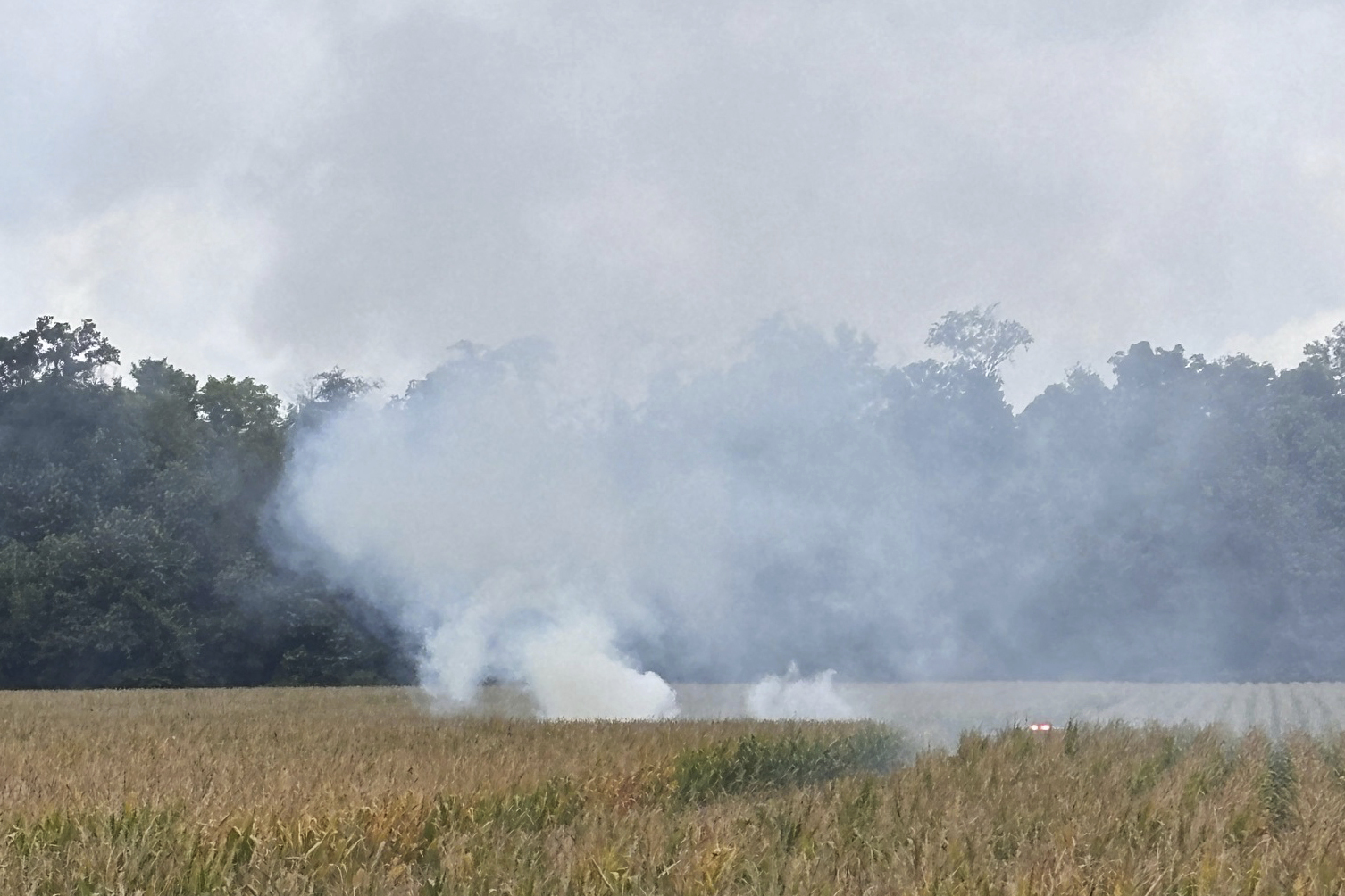 In this photo provided by the East Madison Fire Territory, smoke rises from a cornfield in central Indiana, after a plane taking off from Fort Dodge, Iowa, crashed en route to Anderson Municipal Airport on Friday, Sept. 6, 2024. (Todd Harmeson/East Madison Fire Territory via AP)