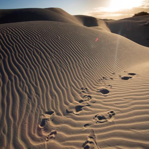 It's important to be mindful of the shots you want before you walk into frame, otherwise your footprints will possibly ruin a great shot!