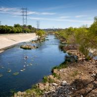 Further upstream the river becomes more trout friendly. This is an example of what a restored LA River might look like, with trees and pools for fish to hide in as they migrate up and downstream.