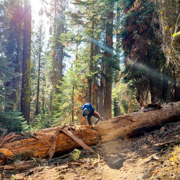 While hiking in Sequoia National Park, California, on the mountain trail known as the Lakes Trail, I limited myself to only the most basic set-up, the camera on my iPhone Pro Max 13. Glare was sometimes an issue, but I sort of like the effect. 