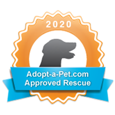 Adopt A Pet Dog Rescue