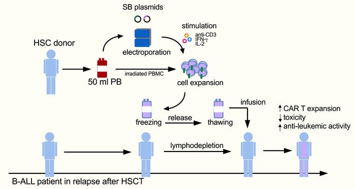 graphical abstract