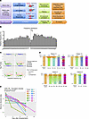 Transposon IS analyses in patient PB and cellular products.