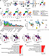 scRNA-Seq reveals that CST6 protein prevents osteoclast differentiation.