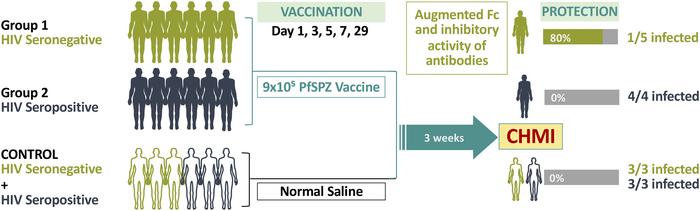 graphical abstract