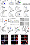 Defense-related component existing in the respiratory tract inhibits infect