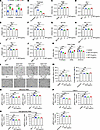 Delta and Omicron variants resist the HAT-induced antiviral effects.