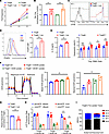 Lactate promotes suppressive function and OXPHOS of TregN.