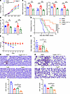 MGAT1 knockdown attenuates the therapeutic effect of lactate-treated TregN