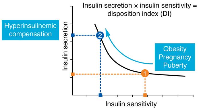 The hyperbolic law of glucose tolerance.
Insulin resistance (in the face...