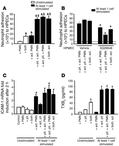 Neutrophil-platelet adhesion to untreated HPMECs requires endothelial ce...