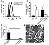 Acid-induced ALI causes platelet-neutrophil interactions.